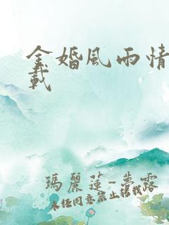 金婚风雨情 下载