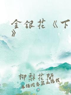 金银花《下厨房》