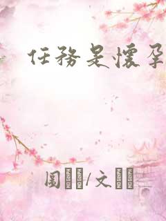 任务是怀孕系统