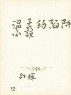 温柔的陷阱周芸小说