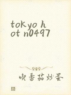 tokyo hot n0497