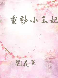 灵动小王妃