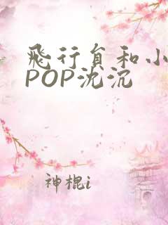 飞行员和小空乘POP沈沉