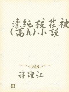 清纯校花被调教(高h)小说