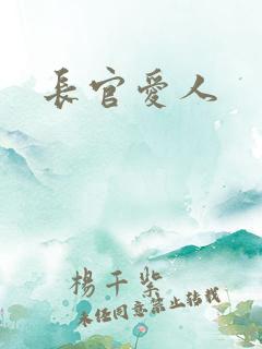 长官爱人