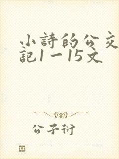 小诗的公交车日记1一15文