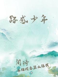 路感少年