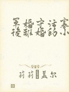 军婚守活寡重生后离婚的小说