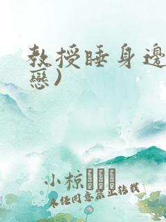 教授睡身边(婚恋)