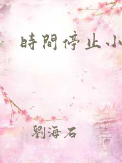 时间停止小说