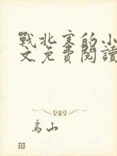 战北寒的小说全文免费阅读无弹窗