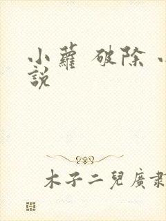 小萝 破除 小说