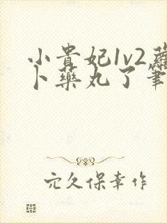 小贵妃1v2萝卜药丸了笔趣阁