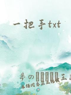 一把手txt