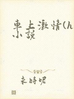 车上激情(h)小说