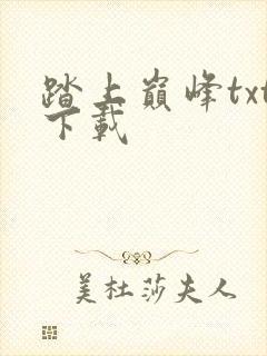 踏上巅峰txt下载