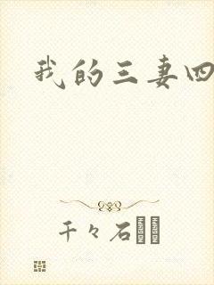 我的三妻四妾