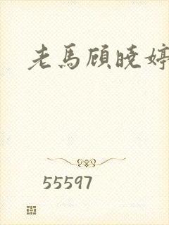 老马顾晓婷小说