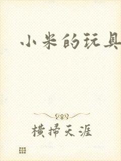 小米的玩具日记