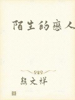 陌生的恋人小说