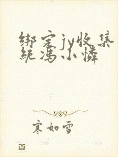 绑定jy收集系统冯小怜