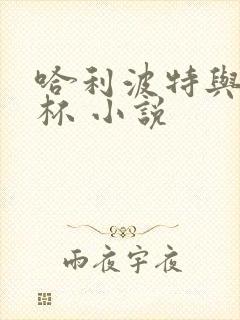 哈利波特与火焰杯 小说