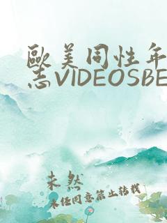 欧美同性年轻同志VIDEOSBEST