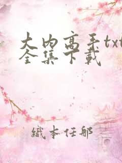 大内高手txt全集下载