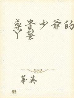 尊贵少爷的大牌丫鬟