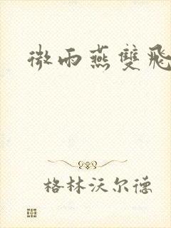 微雨燕双飞小说