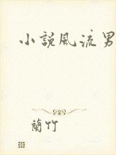 小说风流男护理