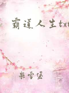 霸道人生txt