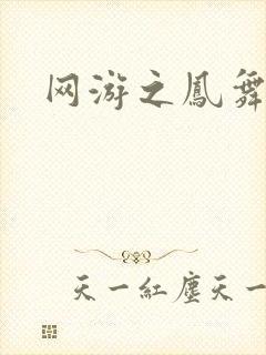 网游之凤舞九天