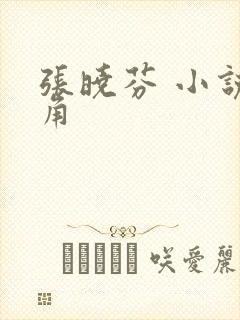 张晓芬 小说主角