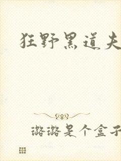 狂野黑道夫