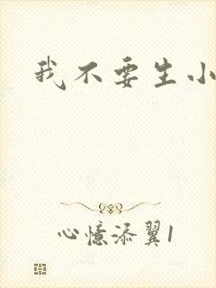 我不要生小孩儿