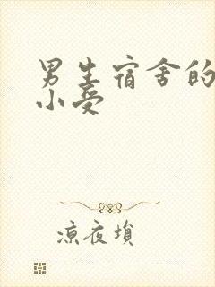 男生宿舍的公共小受