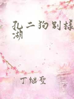 孔二狗别样的江湖