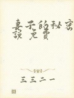 妻子的秘密 小说 免费