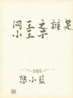 网王之谁是我的小王子
