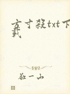 方寸杀txt下载
