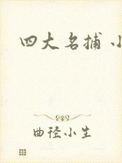 四大名捕 小说