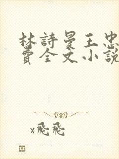林诗曼王忠文免费全文小说的名称