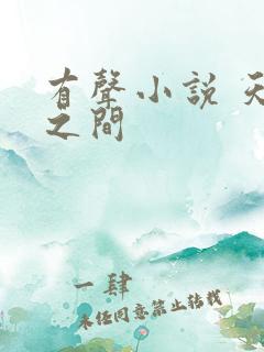 有声小说 天地之间