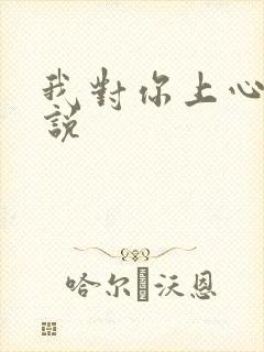 我对你上心了小说