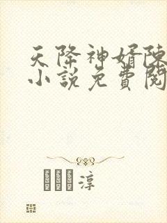 天降神婿陈黄皮小说免费阅读