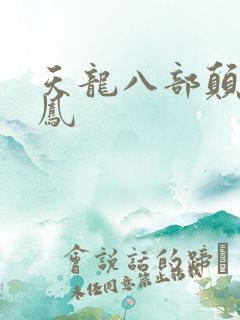 天龙八部颠龙鸾凤