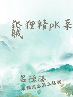 狐狸精pk采花贼