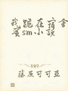 我跪在宿舍被闺蜜sm小说