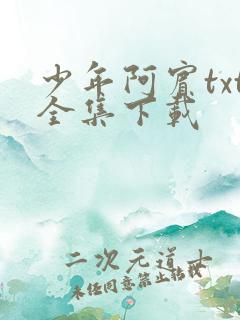 少年阿宾txt全集下载